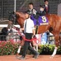 【東京盃】初コンビの御神本訓史騎手「惜しかったね」ヤマニンチェルキは連覇ならずも逃げ粘って鼻差２着