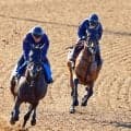 【秋華賞・１週前】底を見せていない素質馬カナルサンマルタンが 好時計　宮田師「加速する脚は素晴らしい」