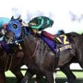 【大井・東京盃結果】大井のゼーロスが差し切ってDG競走初制覇を飾る