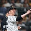 阪神・藤川監督　三冠王の佐藤輝を絶賛「責任感が大きかった」「大黒柱だなと思いますね」