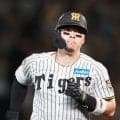 【阪神】佐藤輝明の三冠王は必然「阪神地区にやばい打者」から10年後…NPB最強スラッガーに