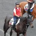 【ＰＯＧ】藤田晋オーナー＆福永厩舎の良血馬キューティボンドが１０日の京都でデビュー　福永調教師「芝にいって、さらに…」