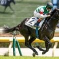 【サウジアラビアRC枠順確定】フィリオソラーレは5枠5番、ベルウッドディープは6枠6番