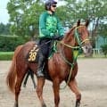 【サウジアラビアＲＣ】怪物の子、デミアンは２枠２番　ルメール騎手のフィリオソラーレは５枠５番に決定