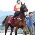 香港の短距離王カーインライジングがレーティング１３５で首位守る　ロンジンワールドベストホースランキング発表