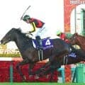 「クロワやマスボとの…」「楽しみ延びた」「待ってる」来年復帰目指す２５年有馬記念馬にＳＮＳエール　Ｇ１・２勝馬ミュージアムマイル