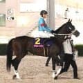 【注目馬動向】レディスプレリュードでまさかの４着ダブルハートボンドはチャンピオンズＣへ　連覇ならＪＣダート時代から史上３頭目