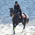【秋華賞・１週前】バースデイフライトが金曜追いで２馬身半力強く先着　新谷調教師「成長しながらきている」