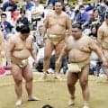 義ノ富士が今巡業初実戦　熊本県出身、九州場所へ気合「初日からガンガンいく。勝って喜ばせたい」