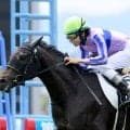 【今日の注目ポイント】東京で2歳マイル重賞サウジアラビアRC