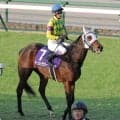【１０日の注目・京都１０Ｒ】２歳レコードホルダーが登場　骨折明け初戦から好勝負