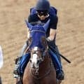 【注目馬動向】ローシャムパークが一気の距離延長！　ステイヤーズＳ参戦をサンデーサラブレッドクラブが発表