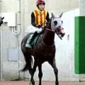 【注目馬動向】ＮＨＫマイルＣの覇者ロデオドライブはマイルＣＳへ向かう