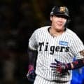 阪神主砲の“行動”に「胸が熱くなった」　ベンチ前で発見…敵ファンもベタ惚れ「誠実だよな、好き」