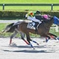 【東京4R新馬戦結果】サンライズノヴァ産駒カラメーロが接戦を制してV