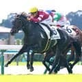 １・７億円馬が下馬評通りの好発進に「完璧な進路取り 」「姉の悔しさを…」　京都で勝ち上がったキューティボンド