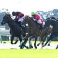 【京都８Ｒ・紫菊賞】まさか！単勝１・５倍のドラゴンバルドが伏兵激走の前に鼻差２着　福永調教師「もう一回…」