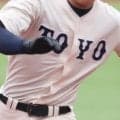 【近畿大会出場】兵庫では東洋大姫路が3位で近畿大会へ！報徳学園が3年ぶりの優勝！【26年秋高校野球】