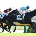 キズナ産駒がＪＲＡ通算１０００勝達成　東京８Ｒでアローメタルが節目のＶ