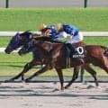 【京都１１Ｒ・御陵Ｓ】サイモンシュバリエが首差で逃げ切る　好騎乗の吉村誠之助騎手「うまいこといきました」
