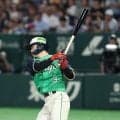 【ヤクルト】内山壮真「左外傷性肩関節不安定症」手術受け無事終了　６月に脱臼し一時離脱