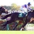 【サウジアラビアＲＣ】「先生は『俺がいるときに勝っておけよ』と言っていると思います」横山和生騎手、亡きトレーナーに捧げる重賞Ｖ