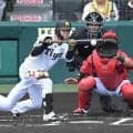 【阪神ＣＳ突破へ展望・打者編】先に点を取って優位に進めたい　初回からバントの可能性も　岡義朗氏
