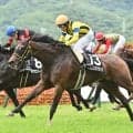 【アイルランドT予想】狙うべき人気順・枠・騎手・馬名!? 過去データから探るGIIアイルランドT