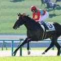 【京都２Ｒ・２歳未勝利】またレコード！武豊騎手のオンユアマークスが差し切り快勝　レジェンドは「まだ良くなりそう」