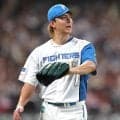 日本ハム達孝太を登録／11日公示