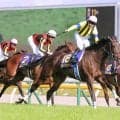 【東京５Ｒ・２歳新馬】２・７億円のラニアケアはインで詰まったまま終戦の６着　姉は２冠牝馬スターズオンアース