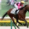 【京都７Ｒ】まさか…単勝１・４倍の大物候補ラヴェニューは４着　“超ハイレベル”共同通信杯以来の復帰戦を飾れず