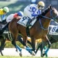 【東京5R新馬戦結果】キタサンブラック産駒グロリアススマイルが差し切り勝ち