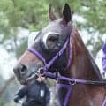 【アイルランドＴ】ルメール騎手騎乗の良血馬は惜しい２着　エフフォーリアの全妹ジョスランは重賞２勝目逃す