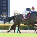 【アイルランドＴ】樫女王カムニャックが貫禄の重賞４勝目！　川田将雅騎手「なによりこの馬が勝つことができて...」