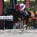 【太秦S結果】7番人気バスタードサフランが抜け出しオープン初勝利