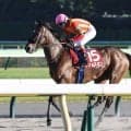 【アイルランドＴ】ジョスランは惜しい２着　ルメール騎手「残念ながら勝った馬はＧ１レベル」