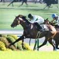 来年の安田記念Ⅴ候補？「やっぱり本物や」「普通にバケモン」３連勝でＯＰ入りのトミーバローズにネット驚がく