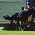 【アイルランドトロフィー】オークス馬カムニャックが貫禄の差し切りV！秋初戦を快勝