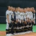 【北海道4強決定】今夏代表の白樺学園が北照を下し準決勝進出！北海は2年ぶり、武修館は6年ぶり、とわの森三愛は初【26年秋高校野球】