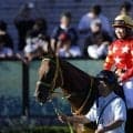 【アイルランドT】小林美駒騎乗ワタシマツワは11着…好位追走も直線で失速