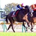 【アイルランドＴ】２５年オークス馬が格の違いを見せつけた　カムニャック豪快差し切り重賞４勝目