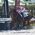 【京都4R新馬戦結果】フライトライン産駒アメリカンソウルが断然人気に応えて快勝