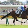 【東京５Ｒ・２歳新馬】「言うことない」と奥村武調教師が絶賛　スパリエーラが横綱相撲の競馬でデビュー戦Ｖ