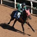 月曜京都競馬場の注目激走馬…京都１１Ｒスワンステークス・Ｇ２