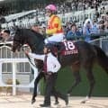 【スワンＳ】武豊騎手騎乗のエリカエクスプレスは８着　鞍上は１９歳で勝った１９８８年シンウインド以来３８年ぶりＶならず