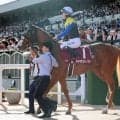【スワンＳ】３歳馬ダイヤモンドノットが古馬撃破　超得意の１４００メートル戦で重賞３勝目ゲット！