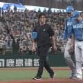伊藤大海、左足に打球直撃も気合の続投　苦悶でベンチ下がるも…再登場にファン大歓声