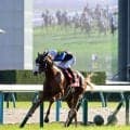 【スワンＳ】３歳馬ダイヤモンドノットが古馬撃破　超得意の１４００メートル戦で重賞３勝目ゲット！