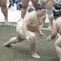 大の里、秋巡業で石川県に凱旋「たくさん『おめでとう』と言ってもらえた。地元の応援が一番力になる」
